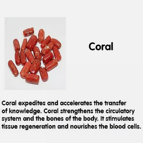 2.5 C.T.W Natural Red Coral Dangle Earrings - Picture 8 of 8